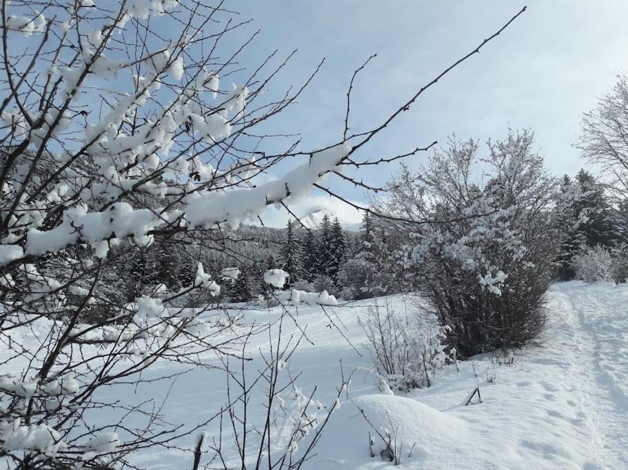 Duplex 59M2 - Proche Centre - Balcon Plein Sud Apartment Corrençon-en-Vercors Exterior foto