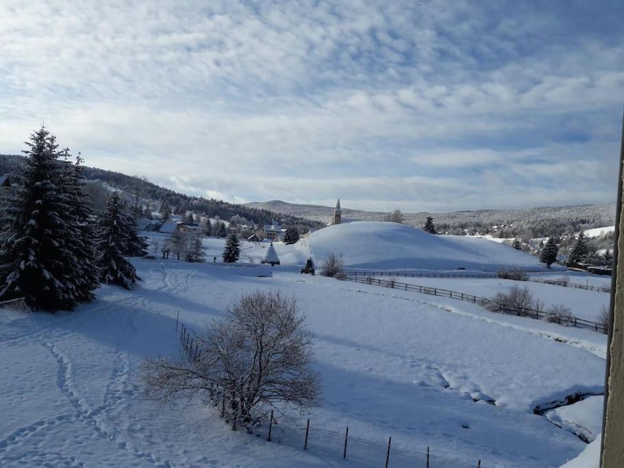 Duplex 59M2 - Proche Centre - Balcon Plein Sud Apartment Corrençon-en-Vercors Exterior foto