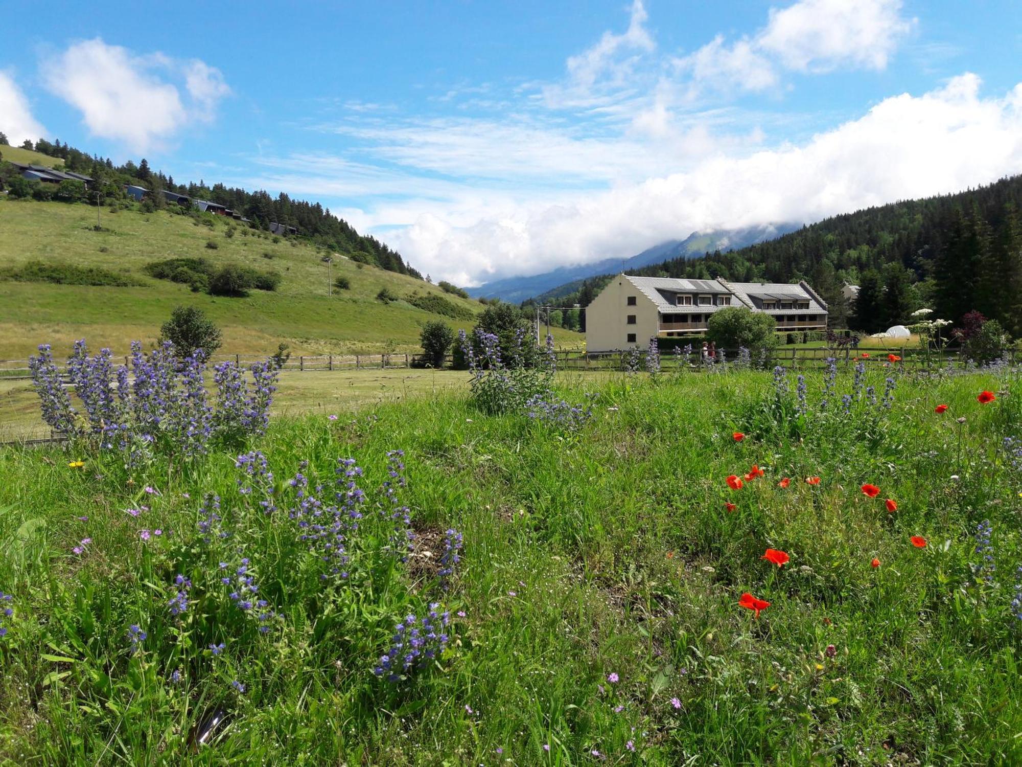 Duplex 59M2 - Proche Centre - Balcon Plein Sud Apartment Corrençon-en-Vercors Exterior foto